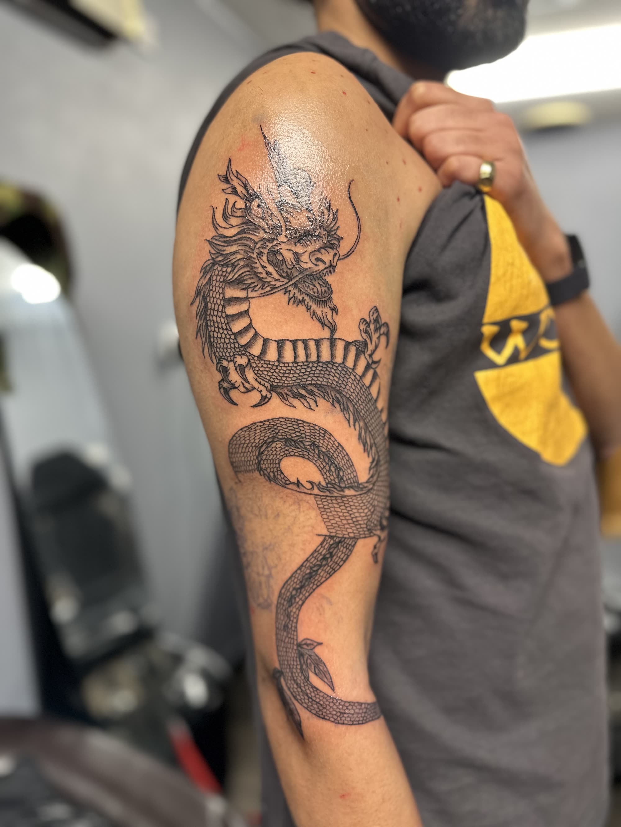 Dragon — fresh outline, first session